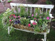 Old Bench Repurposed as a Planter