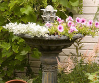 Birdbath as a Flower Planter