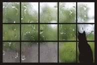 Cat Watching Rain Out Window