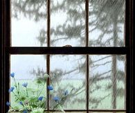 Rainy Day