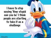 How stupid can you be