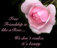 True Friendship is like a rose....