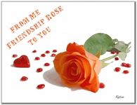 From Me Friendship Rose to You