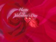 Happy Valentines Day