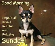 Good Morning Sunday