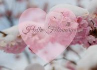 Hello February