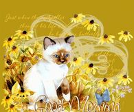 Good Morning