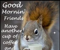 Good Morning Friends