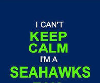 Seattle Seahawks Fan