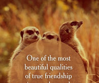 True Friendship