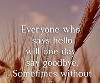 Hello Goodbye