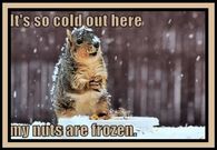 It's so cold