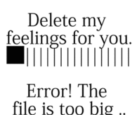 Delete my feelings for you...Error! The file is too big!