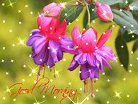 Good Morning
