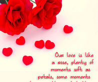 Like a rose