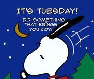 It's Tuesday