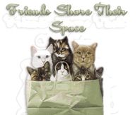 Friends share their heart....