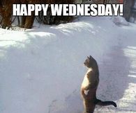 Happy Wednesday Almost The Weekend