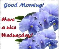 Good Morning Have a Nice Wednesday