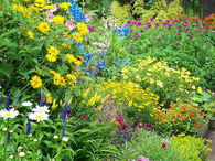 An English Cottage Garden in Full Summertime Bloom