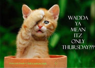 It's only Thursday