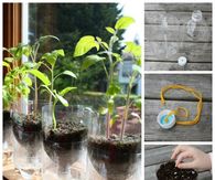 DIY Gardening
