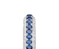 Watch with Diamonds and Blue Stones