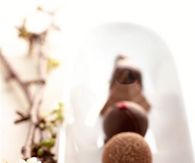 Fancy Chocolate Bon Bon's