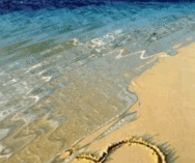 Love Ya on the Beach