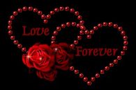 Love Forever
