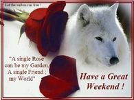 Have a great Weekend