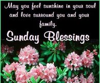 May you feel sunshine in your soul and love surround you and your family, Sunday Blessings