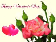 Happy Valentines Day