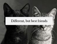 Different but best friends