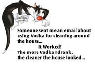 Vodka and Cleaning