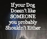 If your dog doesn't like someone