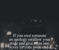 apology