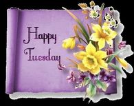 Happy Tuesday