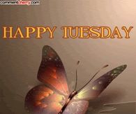 Happy Tuesday