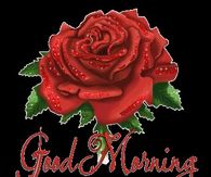 Good Morning