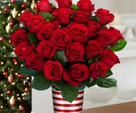 Red Roses