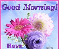 Good Morning Have a Nice Day