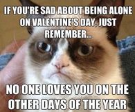 Valentines Day Grumpy Cat