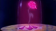 Pink Rose Dropping Petals