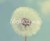 Make a Wish