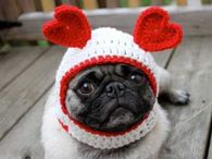 Valentines Day Dog