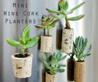 DIY Wine Cork Planters