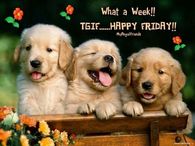 TGIF Happy Friday