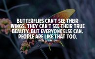 butterflies can't see their wings
