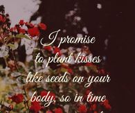 I promise